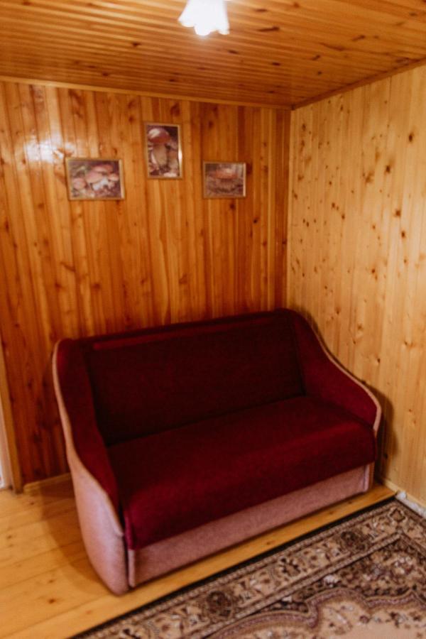 Акорди Плеса Jaremtsche Exterior foto